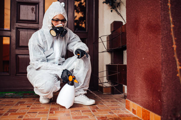 Reliable Wasp Removal contractor in River Bend, NC by Show Me Pest Control
