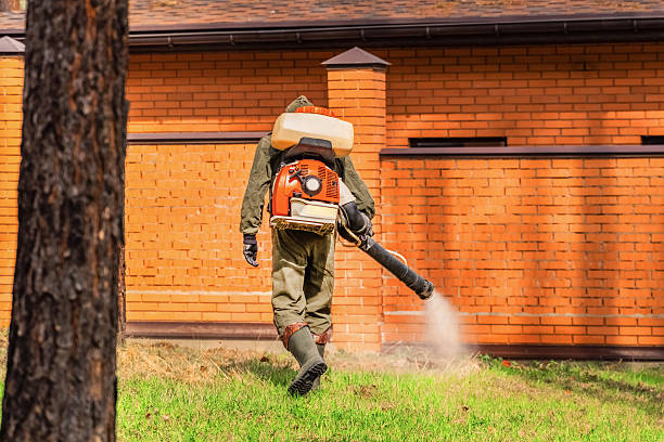 Top rated local Wasp Removal specialists in River Bend, NC